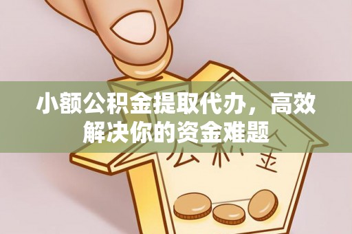 海北小额公积金提取代办，高效解决你的资金难题