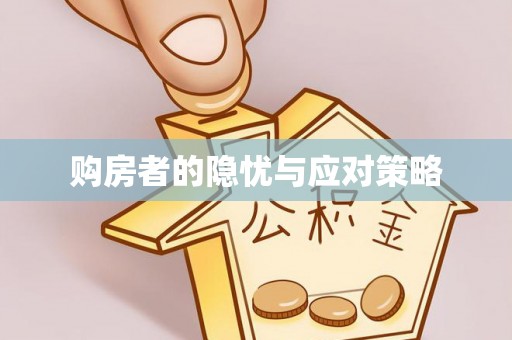海北购房者的隐忧与应对策略