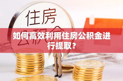 海北如何高效利用住房公积金进行提取？